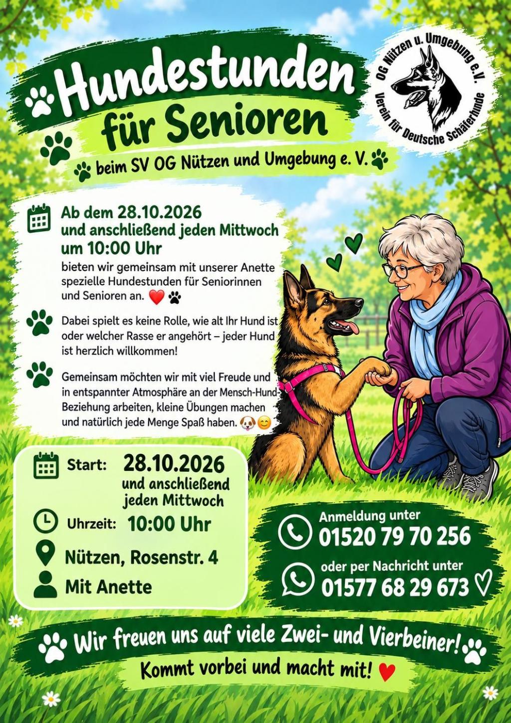 Unser neuestes Angebot